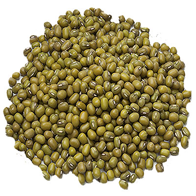 Mung Bean