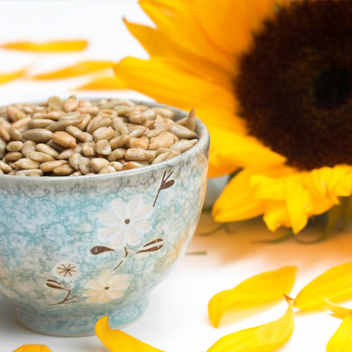 What Are the Benefits of Sunflower Seeds?