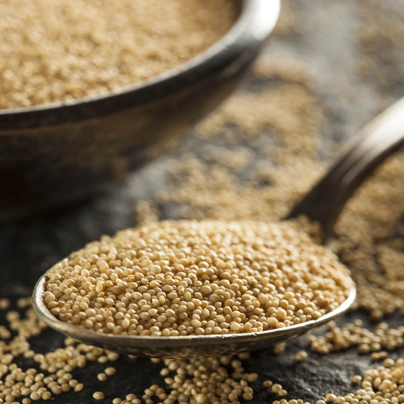 What Is Amaranth Good For?